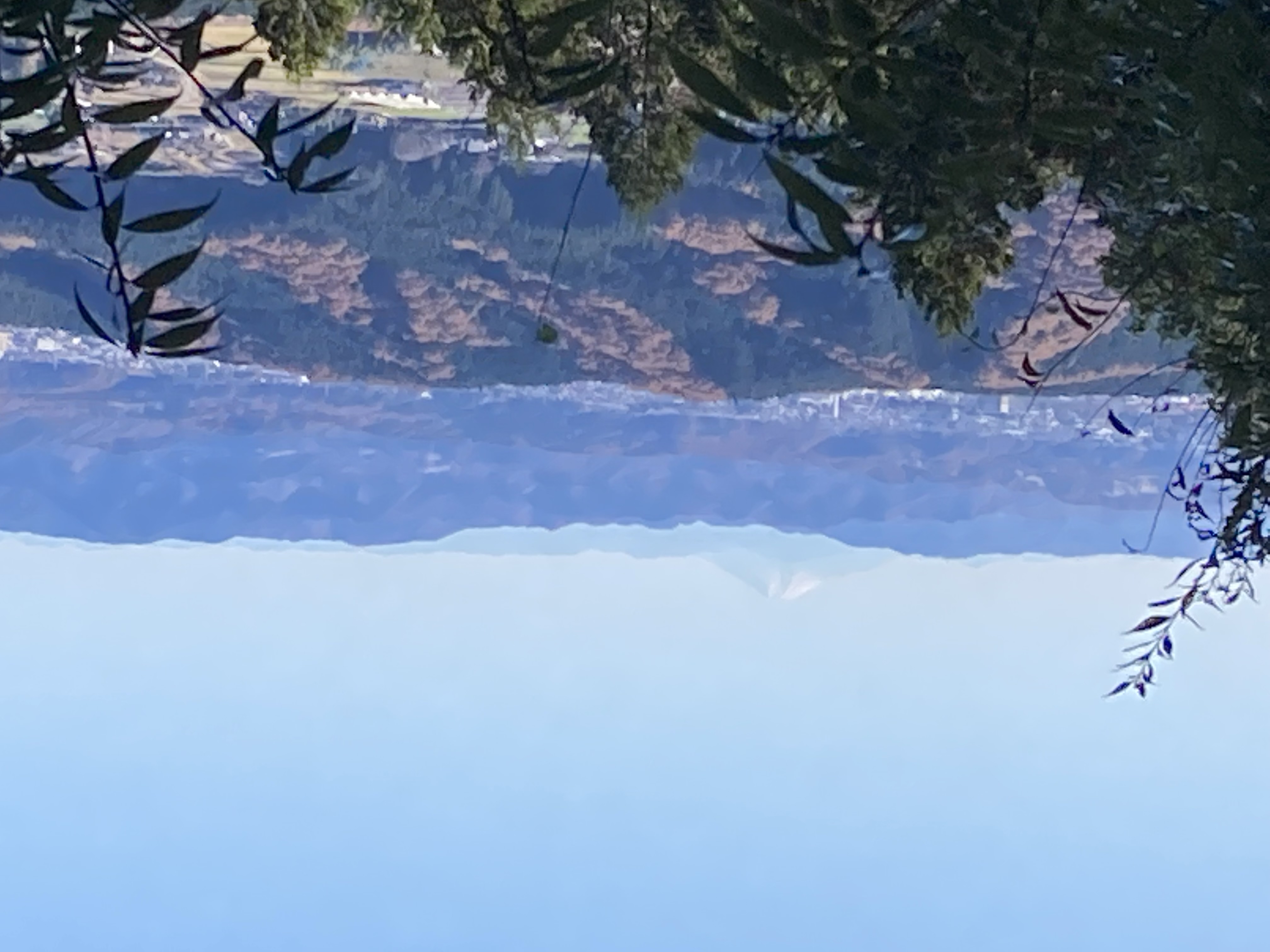 多気山頂上